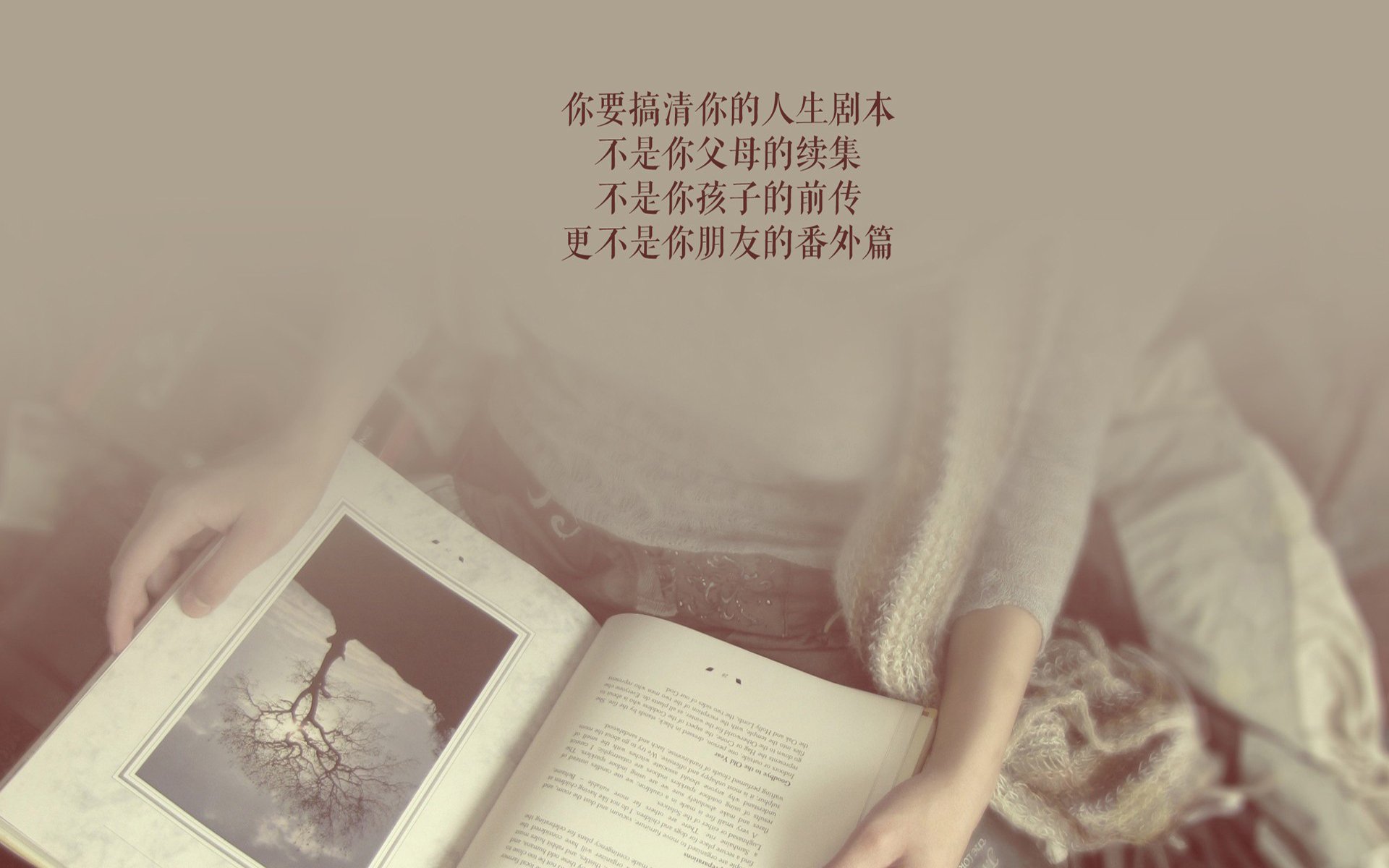 史上最“炸裂”盖帽：谁的封堵最令人震撼？，盖帽最厉害的人