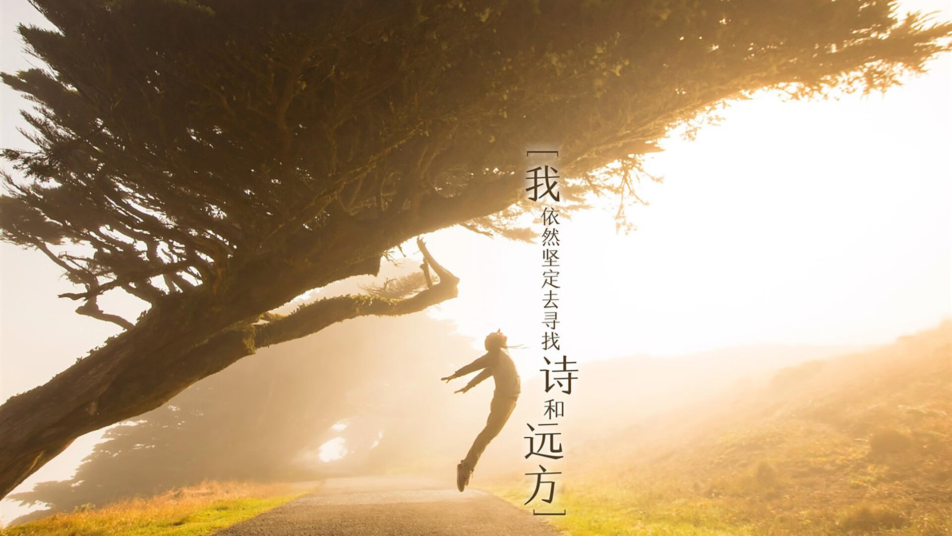 利物浦球星莱万多夫斯基领衔拜仁对决弗赖堡，利物浦拜仁交手记录