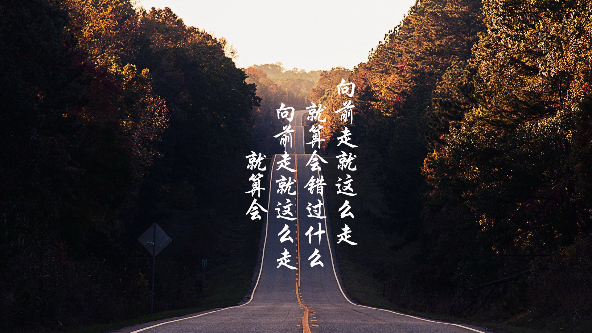 波鸿对决沃尔夫斯堡，德乙升班马较量，沃尔夫斯堡对阵波鸿