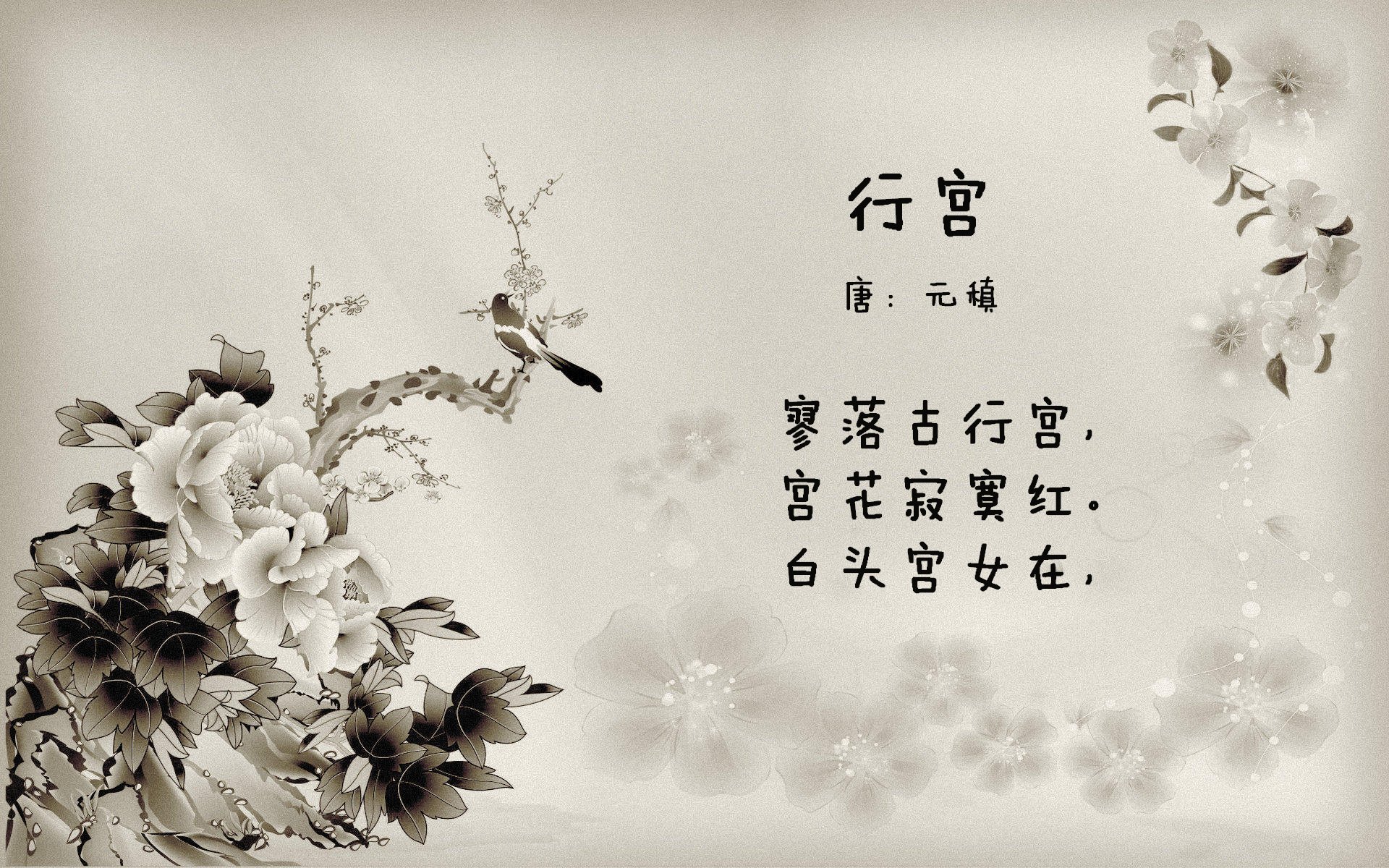 开云平台-纵横球场：全球篮球精英争夺夺冠宝座，纵横篮坛