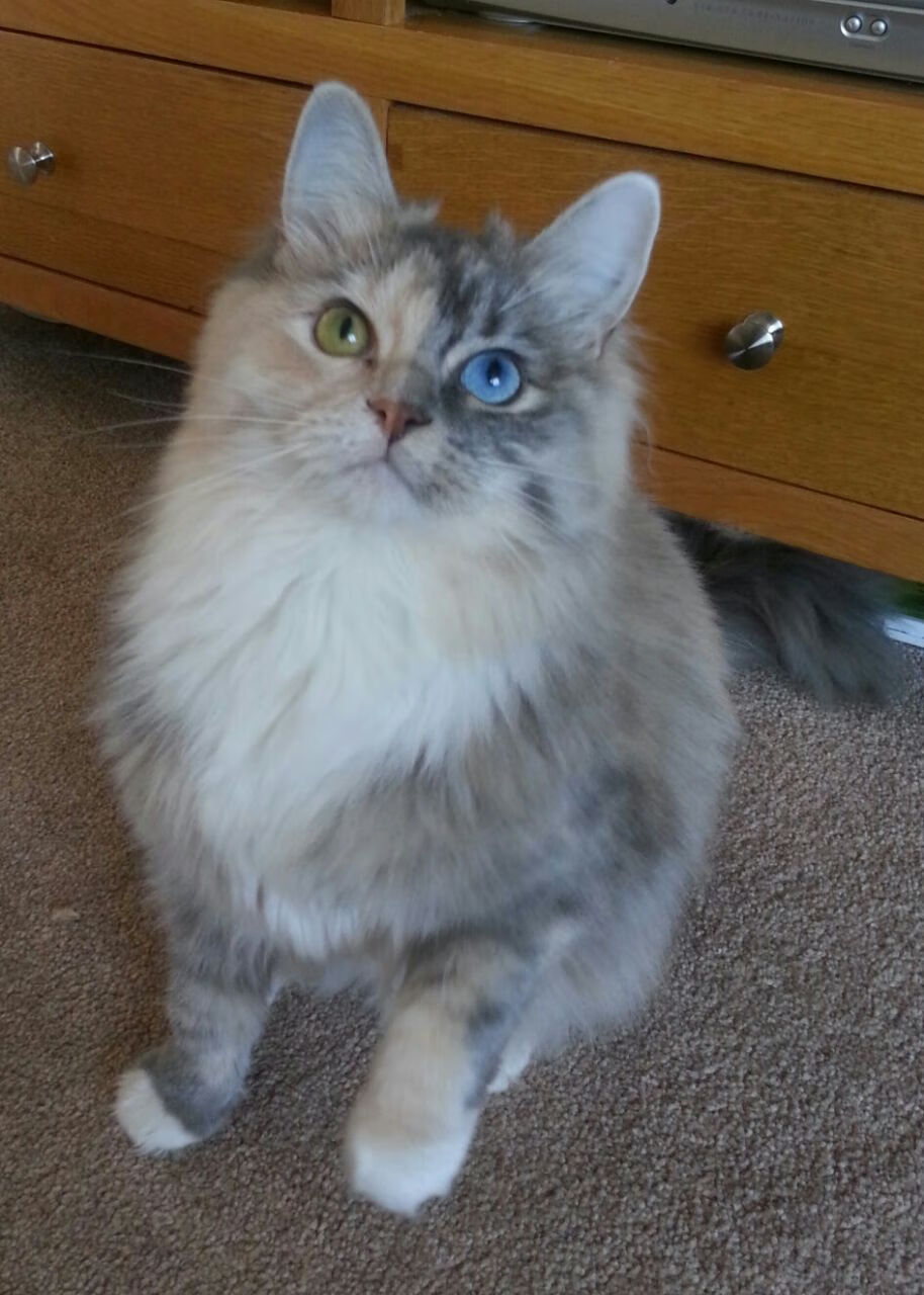 篮球运动员比赛数据统计分析方法,篮球运动员比赛数据统计分析方法包括