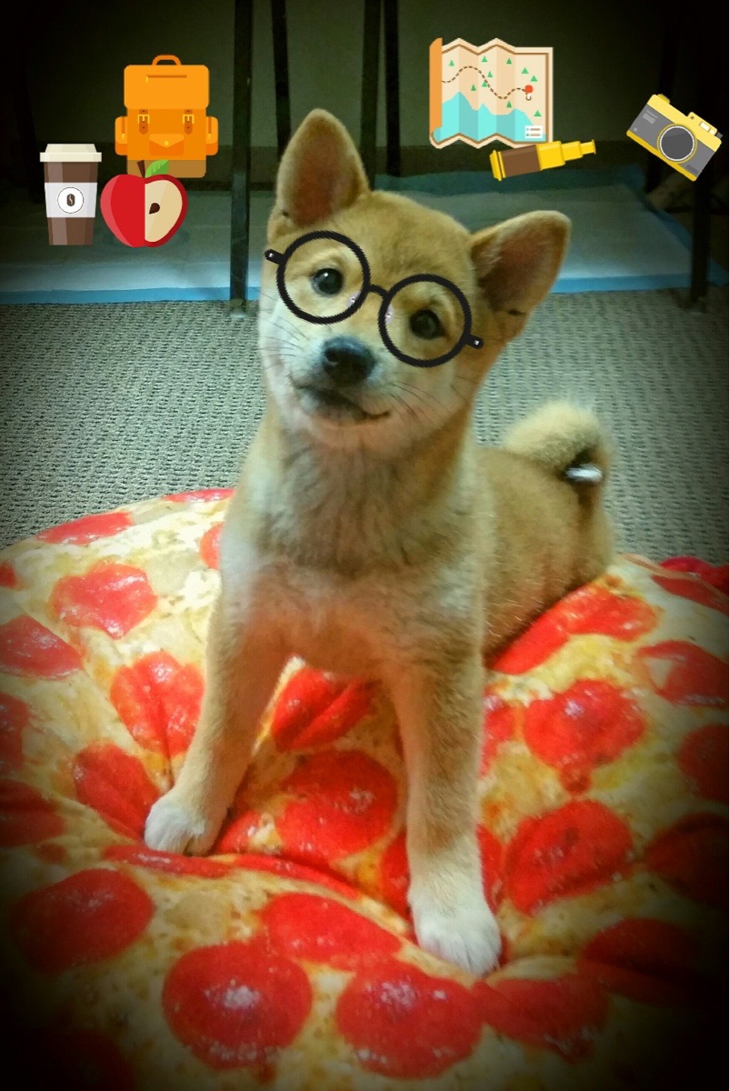 2024年埃及队表现：超越自我，逐步迈向国际前沿，埃及能进季后赛吗