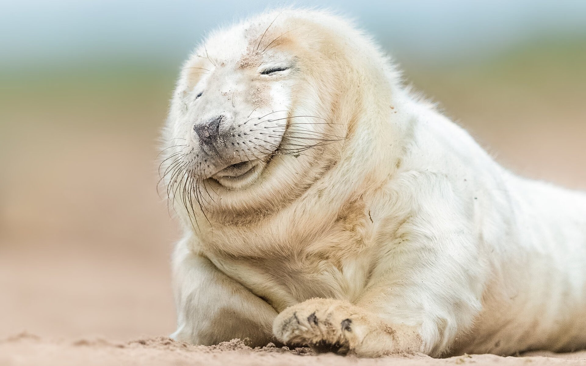 佛罗伦萨通过连续传导拉开空间,佛罗伦萨因什么而著名