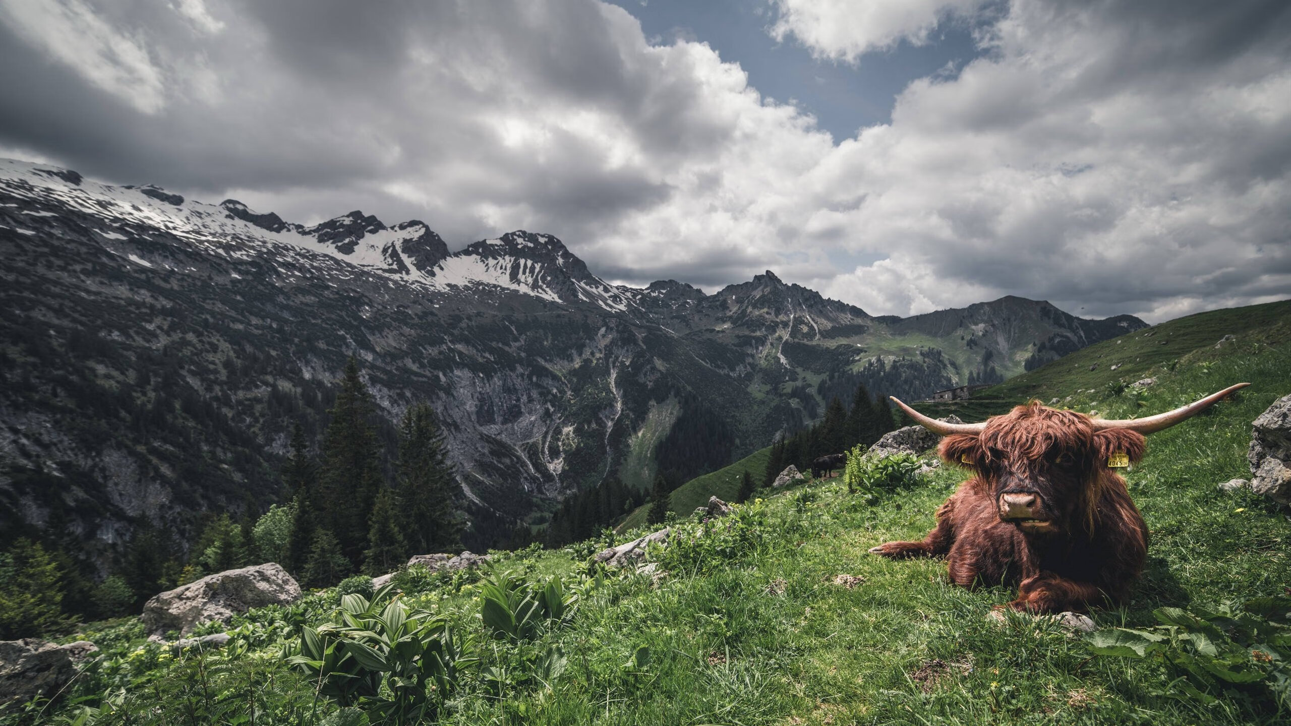 控卫掌握节奏的关键技术要素解析,控卫怎么控制节奏