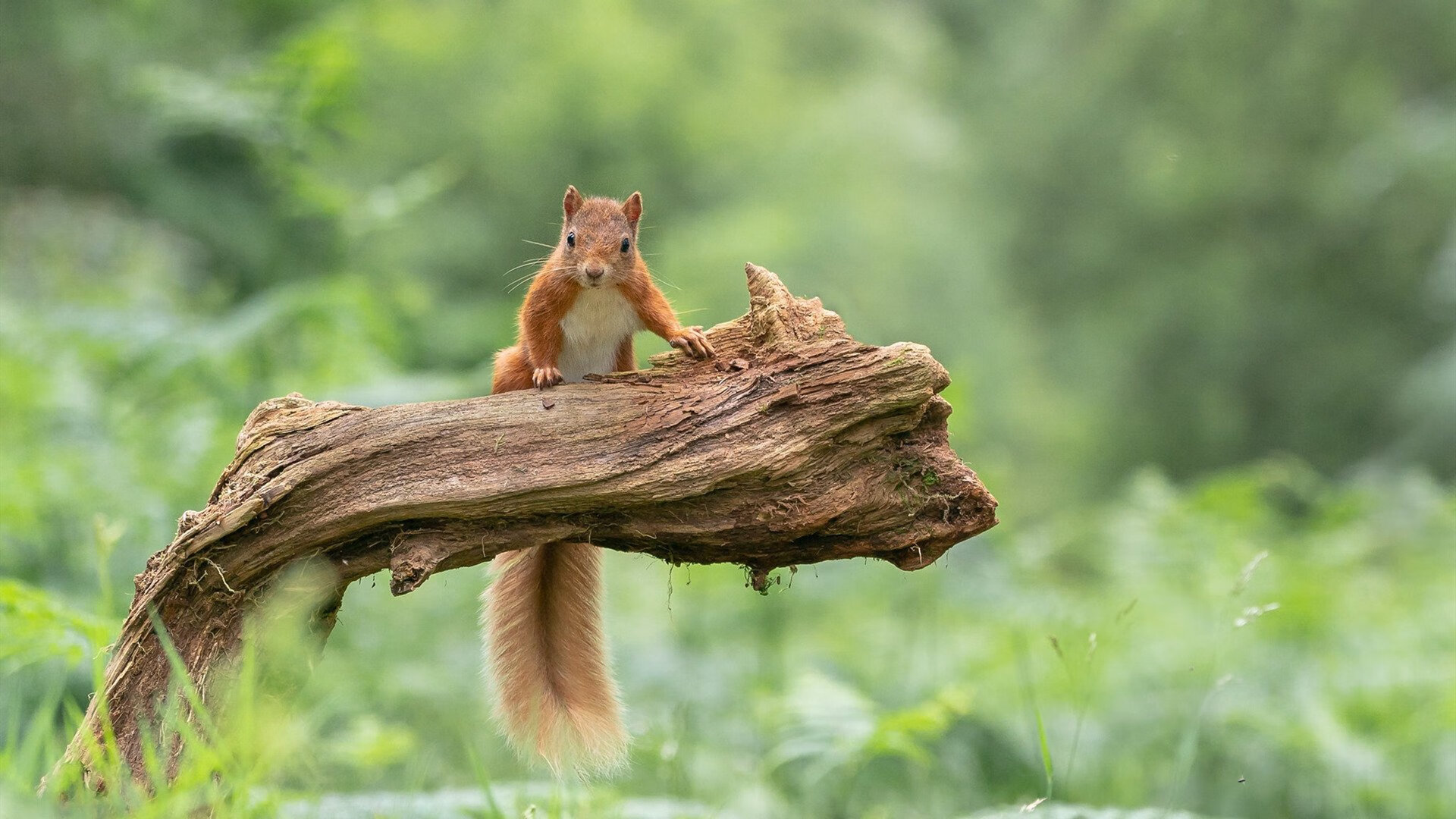 kaiyun开云·官方网站-世界杯小组出线形势图解，世界杯小组赛出线形势